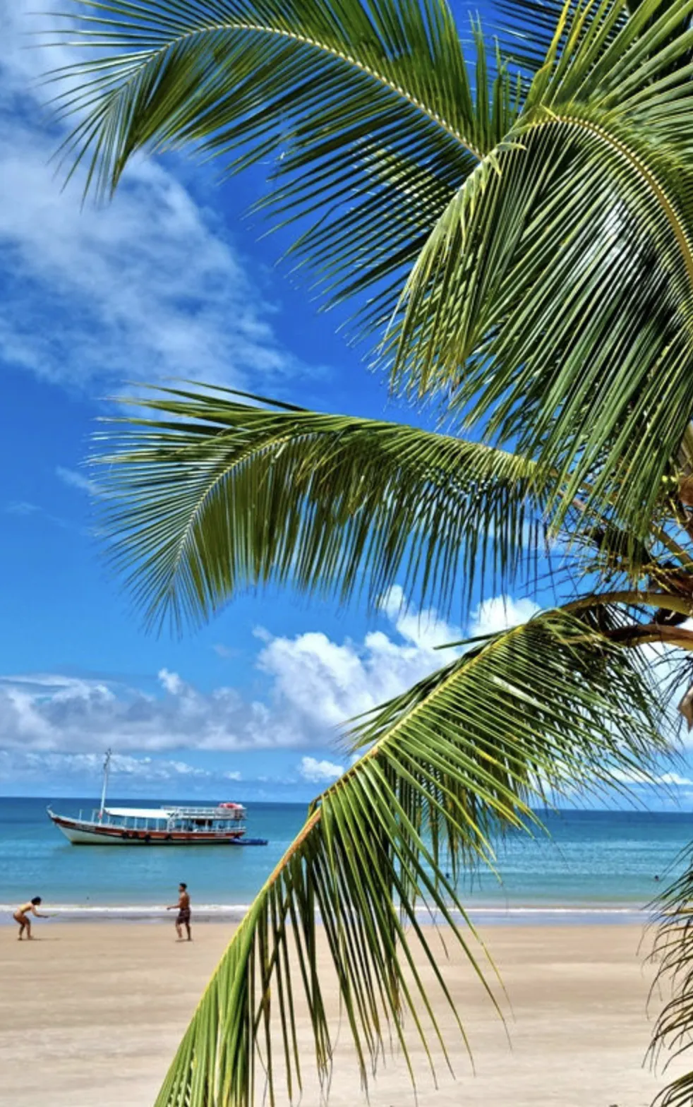 Detalhe da Praia dos Coqueiros em Trancoso